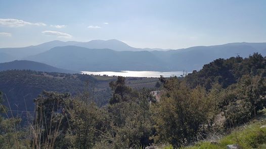 Karacasu Karabağlar Köyü Resimleri 2