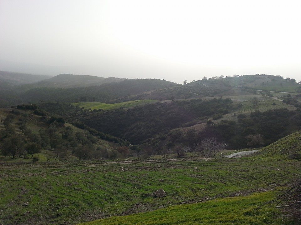 Karacasu Karacaören Köyü Resimleri 2