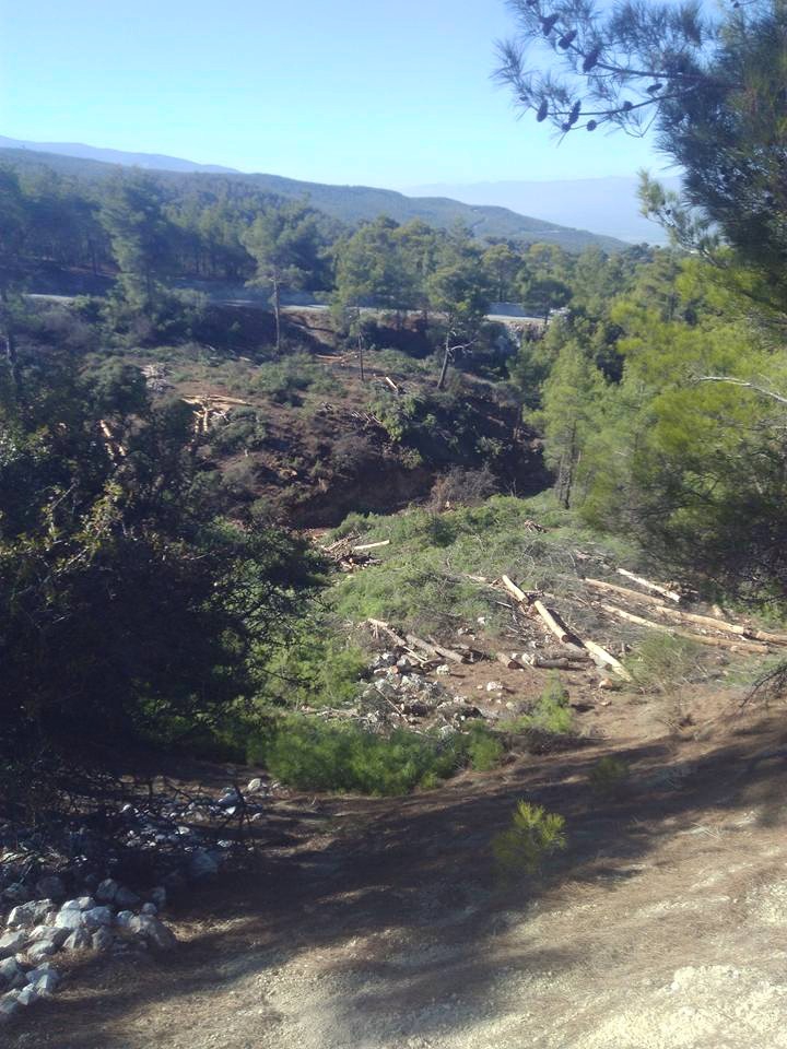 Karacasu Karacaören Köyü Resimleri 7