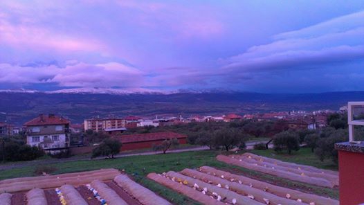 Karacasu Küçükdağlı Köyü Resimleri 2