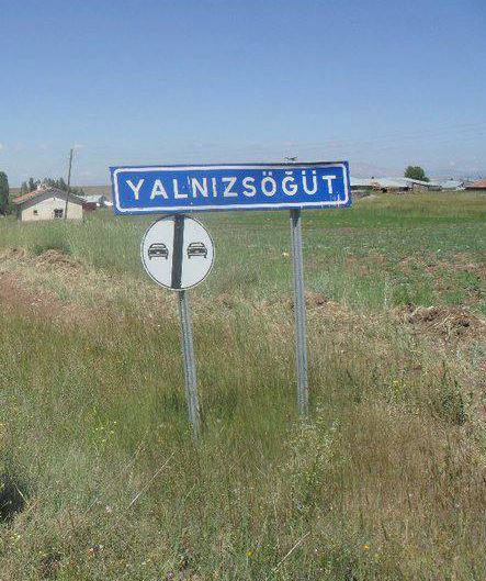 Divriği Yalnızsöğüt Köyü Resimleri 14