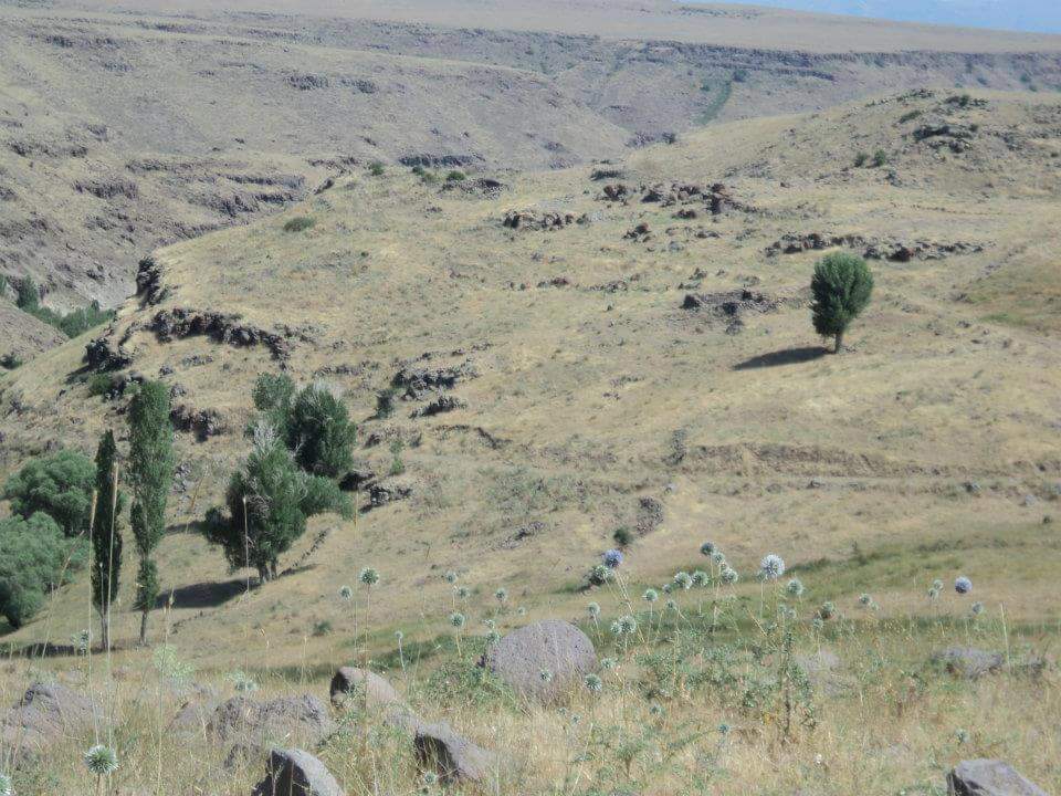 Divriği Yalnızsöğüt Köyü Resimleri 17