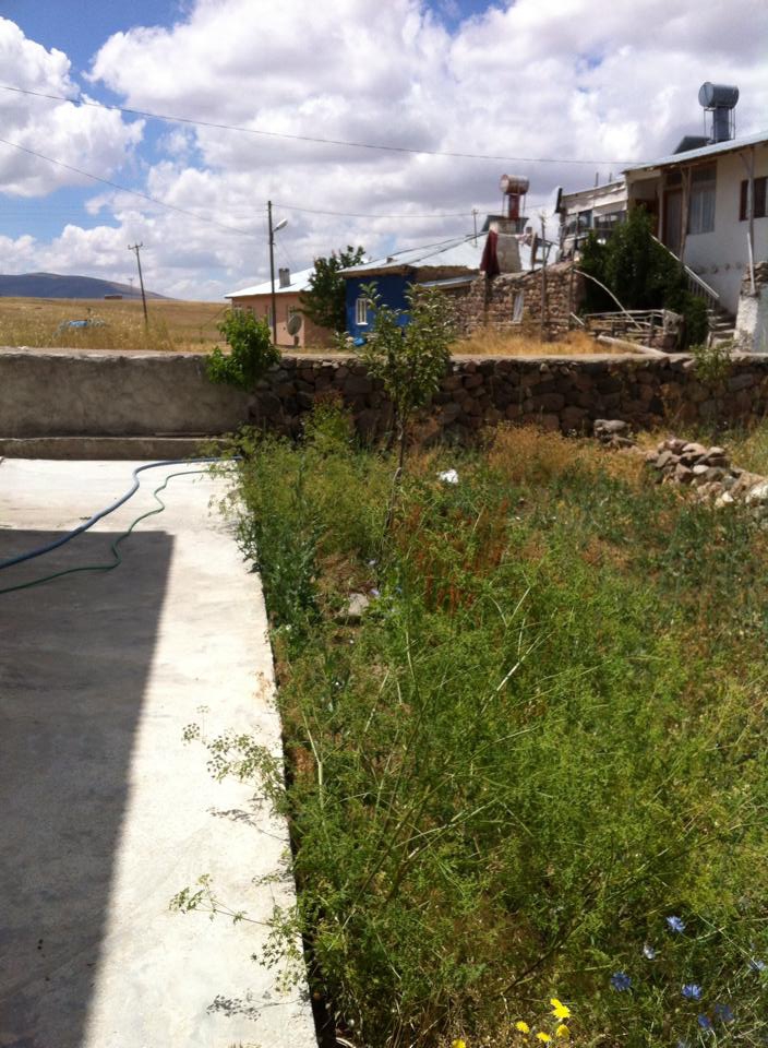 Divriği Yalnızsöğüt Köyü Resimleri 18