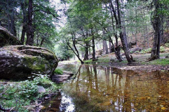 Karacasu Yaylalı Köyü Resimleri 2