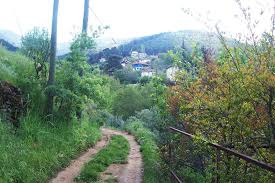 Karacasu Yaylalı Köyü Resimleri 6