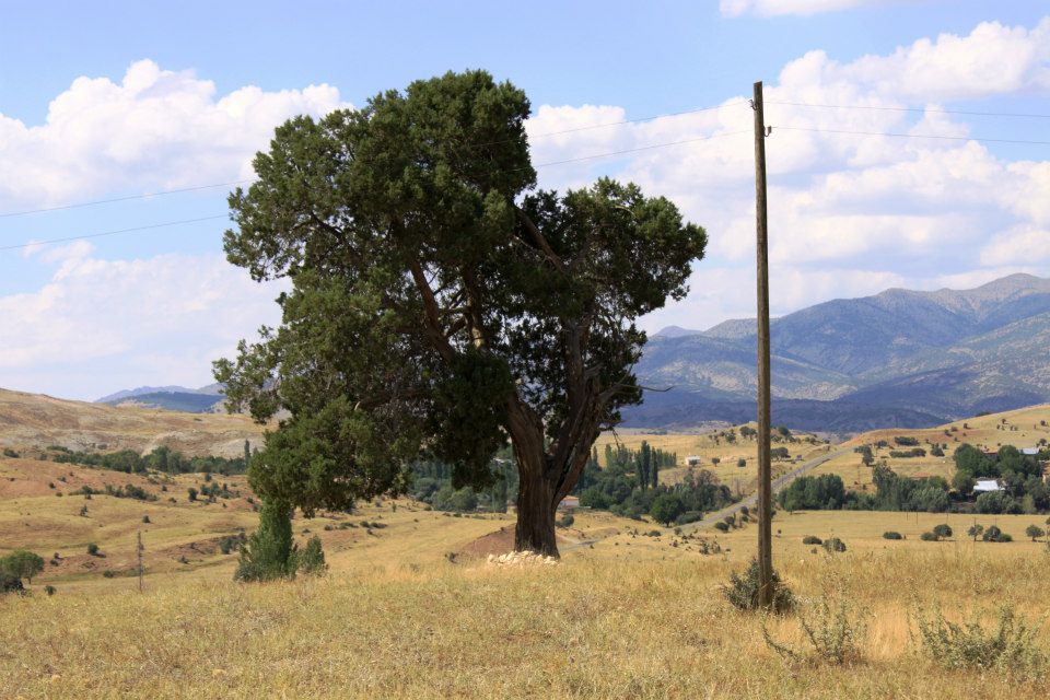 Divriği Yazı Köyü Resimleri 15