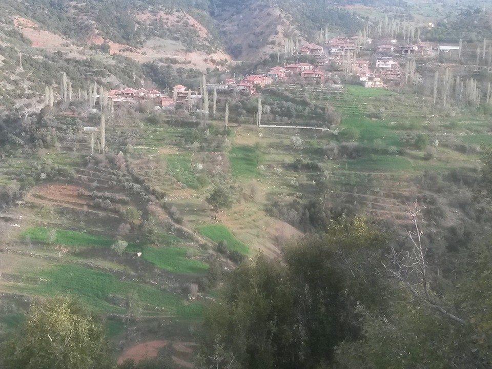 Karacasu Yeniköy Köyü Resimleri 1