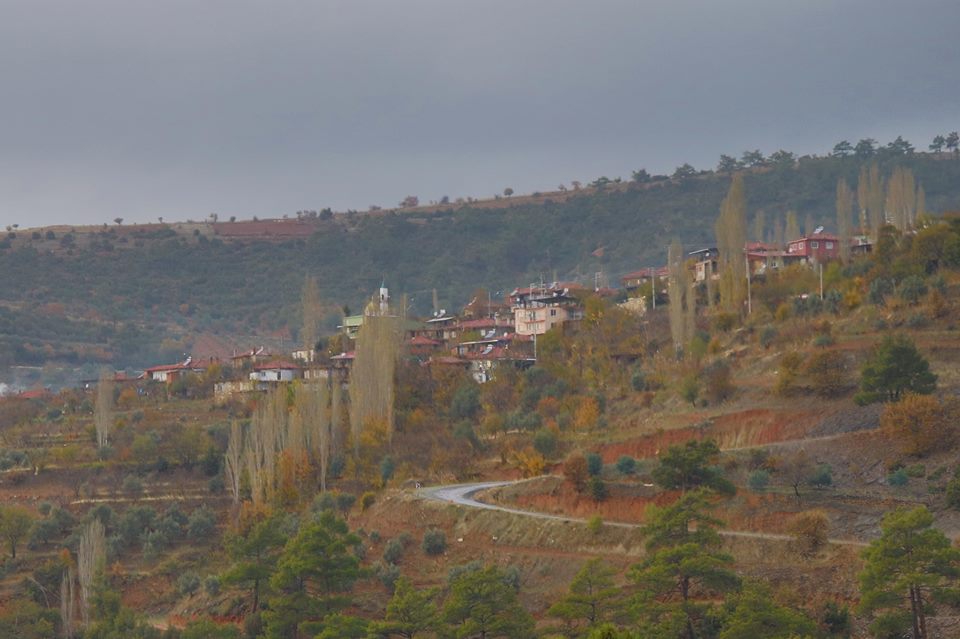 Karacasu Yeniköy Köyü Resimleri 2