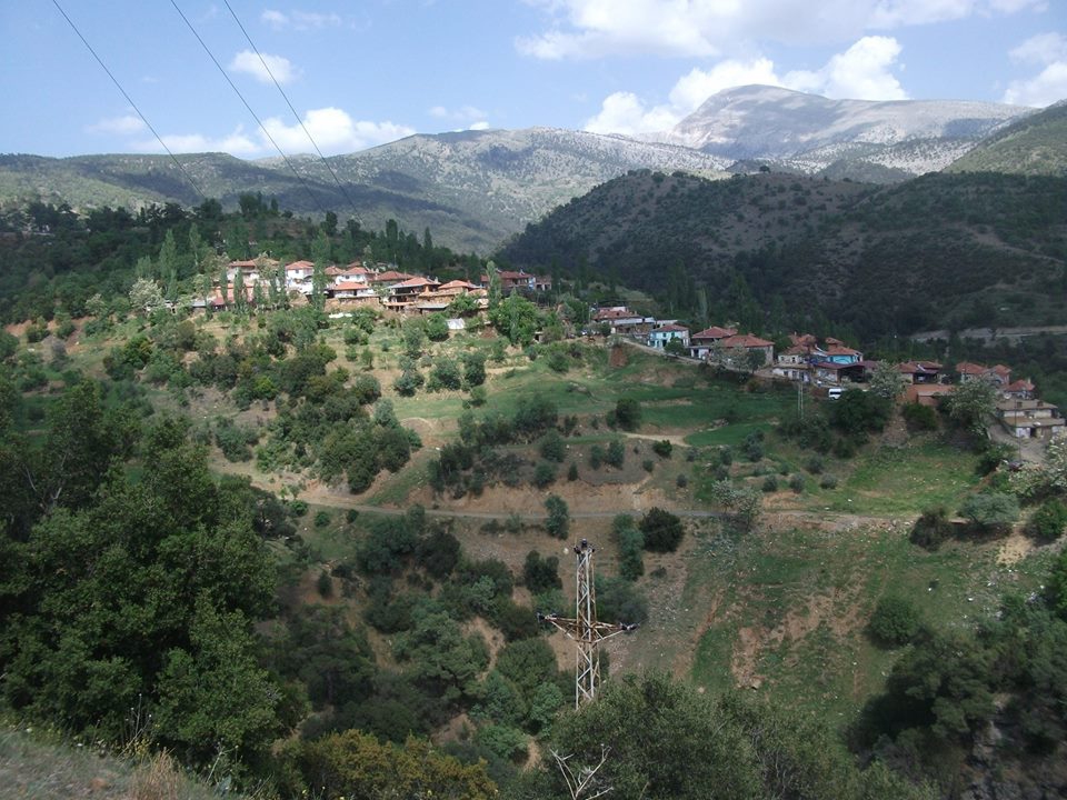 Karacasu Yeniköy Köyü Resimleri 6