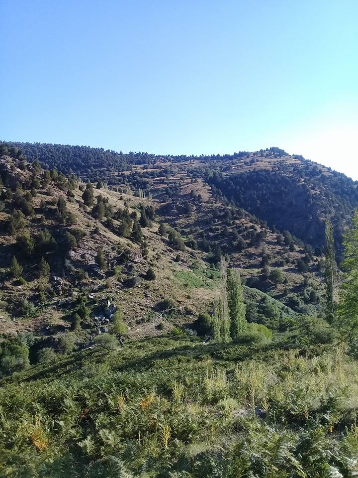 Karacasu Yeniköy Köyü Resimleri 7