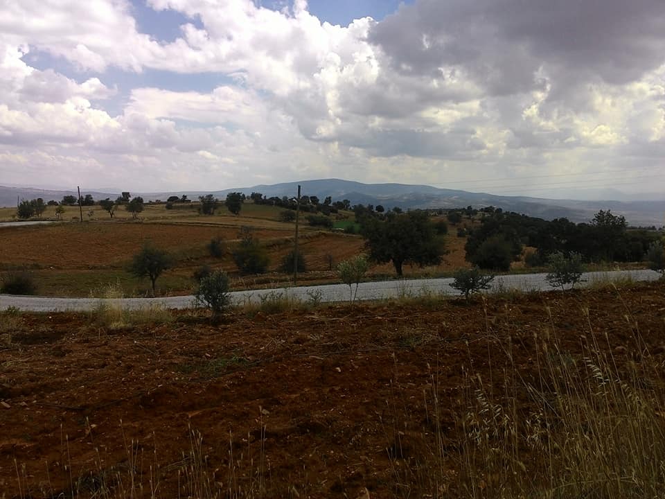 Karacasu Yeniköy Köyü Resimleri 9