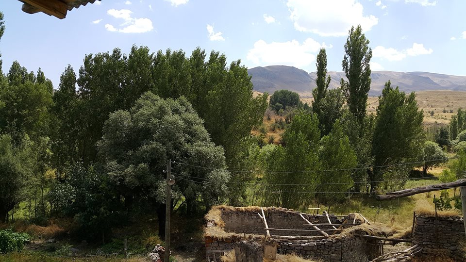 Divriği Yerliçay Köyü Resimleri 18