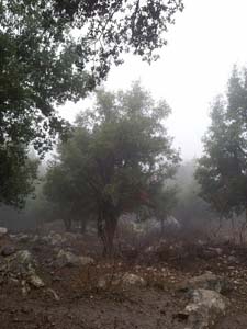 Adana Kozan Işıkkaya Köyü Resimleri 12