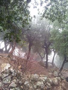 Adana Kozan Işıkkaya Köyü Resimleri 13