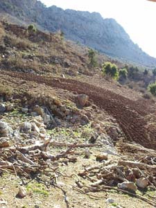 Adana Kozan Işıkkaya Köyü Resimleri 7