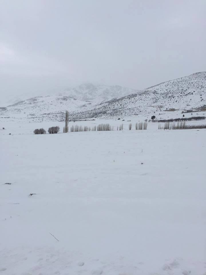 Elbistan Özcanlı Köyü Resimleri 9