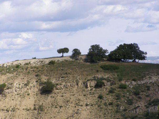 Divriği Yusufşeyh Köyü Resimleri 24