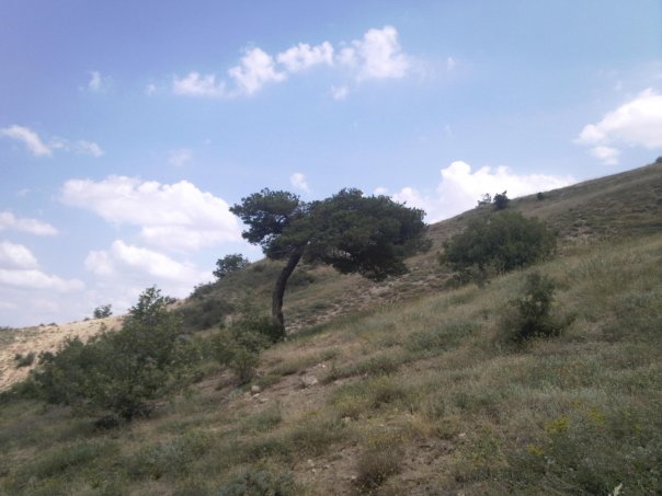 Divriği Yusufşeyh Köyü Resimleri 25