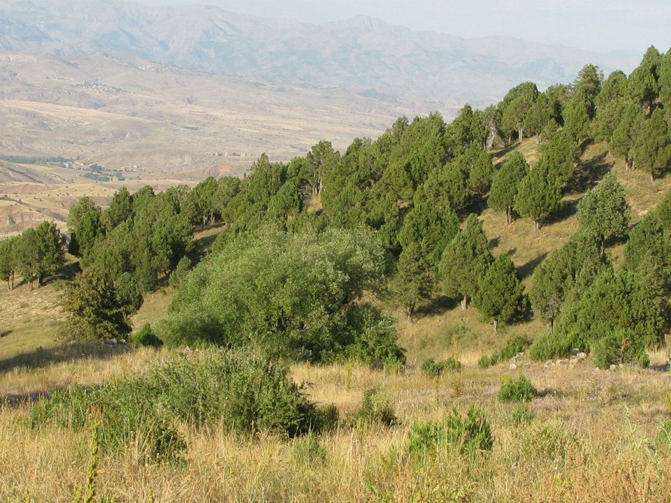 Divriği Yusufşeyh Köyü Resimleri 43