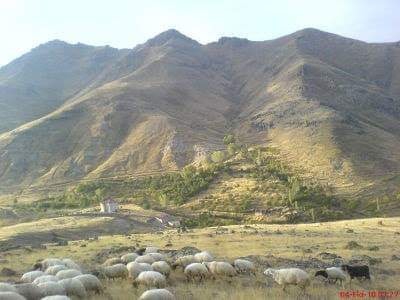 Elbistan Topallı Köyü Resimleri 8