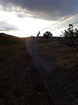 Elbistan Uzunpınar  Köyü Resimleri 10