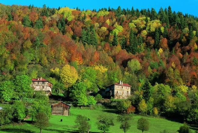 Elbistan Uzunpınar  Köyü Resimleri 3