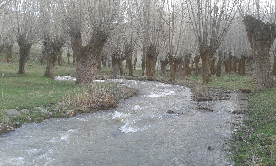 Divriği Yuva Köyü Resimleri 1