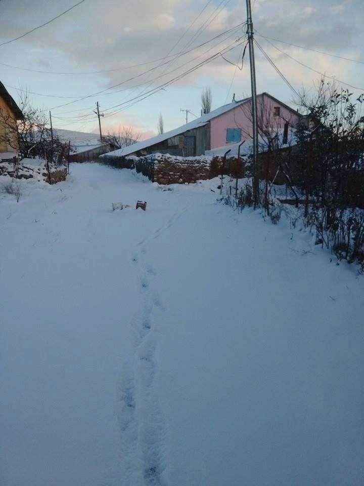 Divriği Yuva Köyü Resimleri 6
