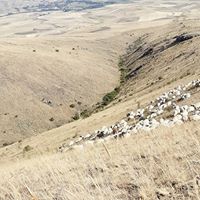 Çermik Recep Köyü Resimleri 11