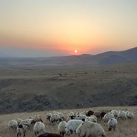 Çermik Recep Köyü Resimleri 9