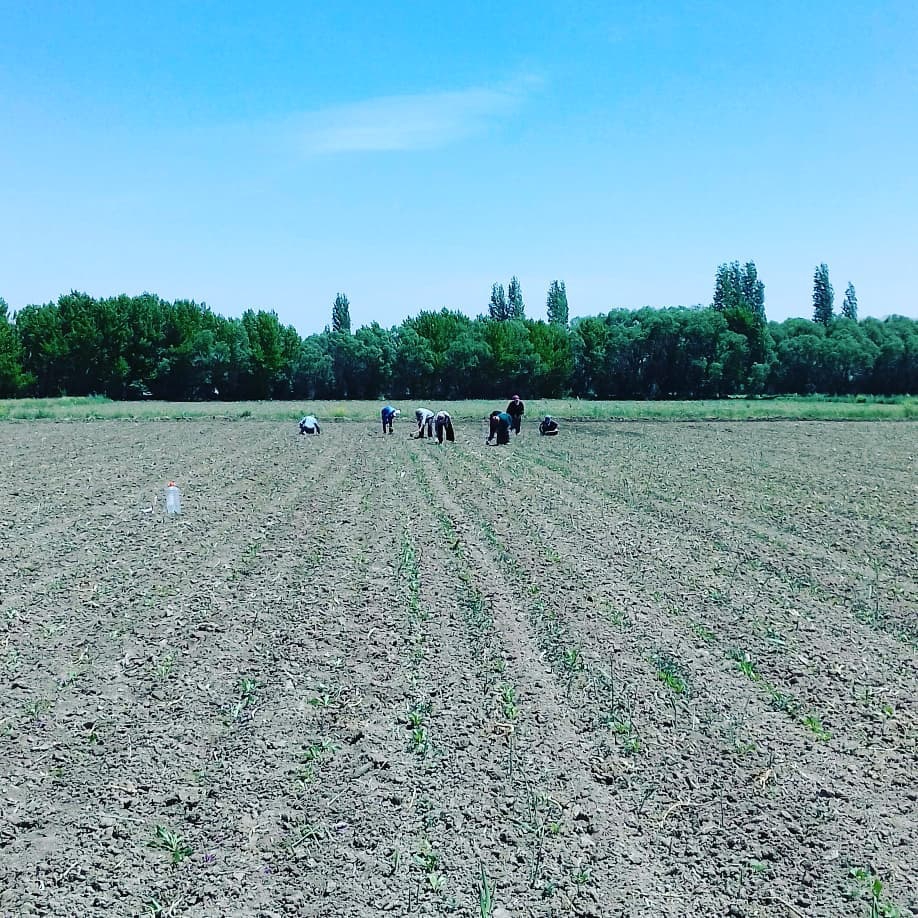 Elbistan Yapraklı Köyü Resimleri 10