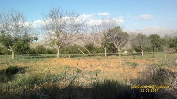 Elbistan Yapraklı Köyü Resimleri 6