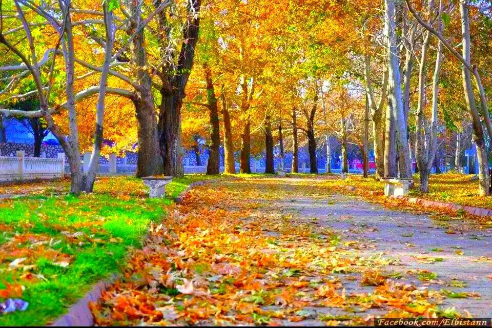 Elbistan Yapraklı Köyü Resimleri 9