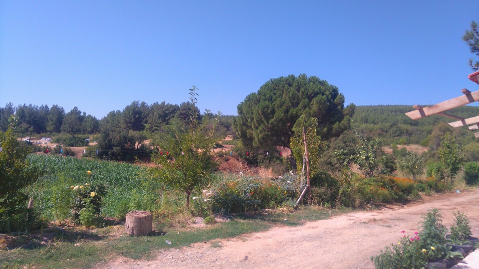 Acıpayam Akalan Köyü Resimleri 4