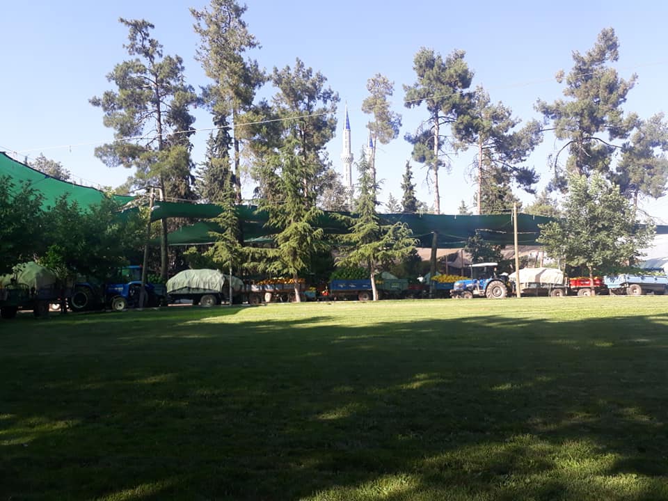 Acıpayam Akalan Köyü Resimleri 6