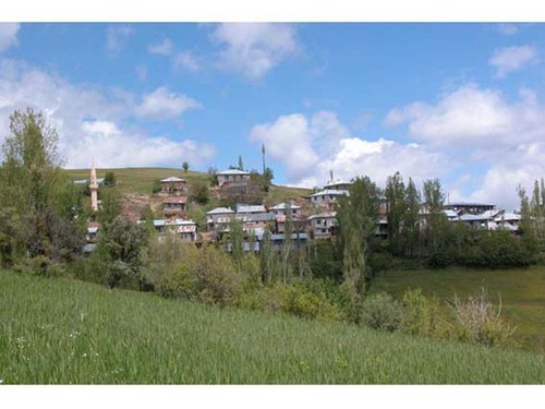 Doğanşar Alanköy Köyü Resimleri 4