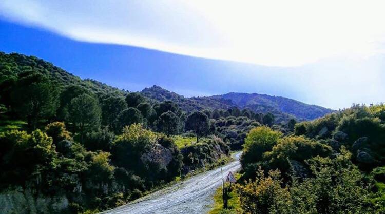 Koçarlı Adnanmenderes Köyü Resimleri 2