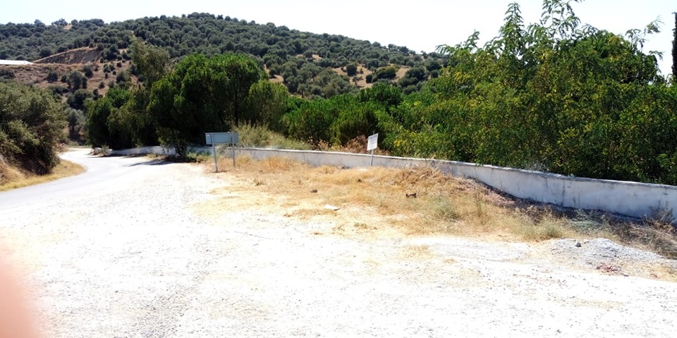 Koçarlı Boğaziçi Köyü Resimleri 3