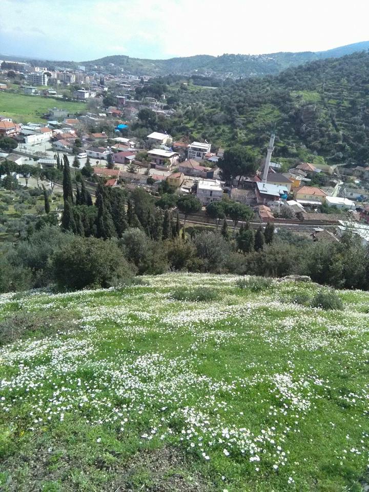 Koçarlı Büyükdere Köyü Resimleri 3
