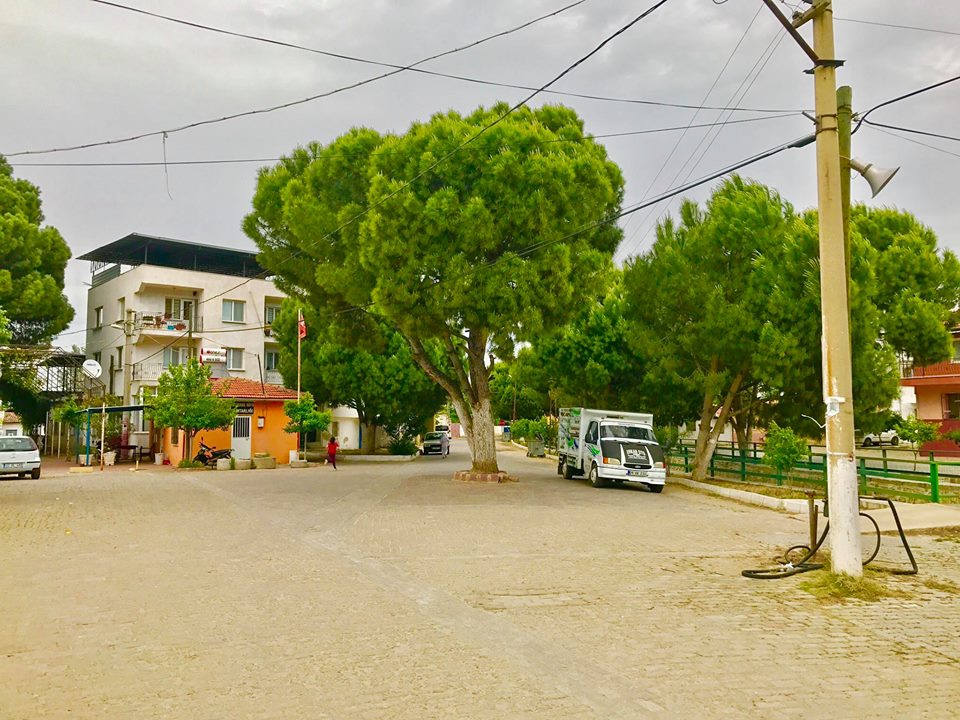 Koçarlı Büyükdere Köyü Resimleri 7