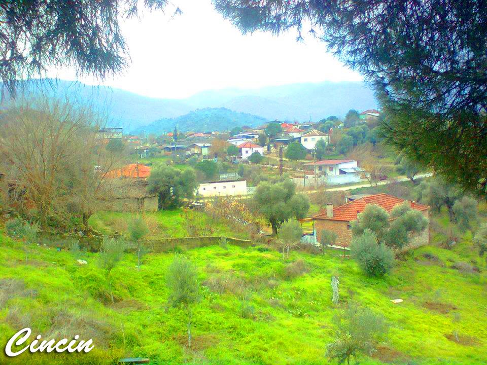 Koçarlı Cincin Köyü Resimleri 2