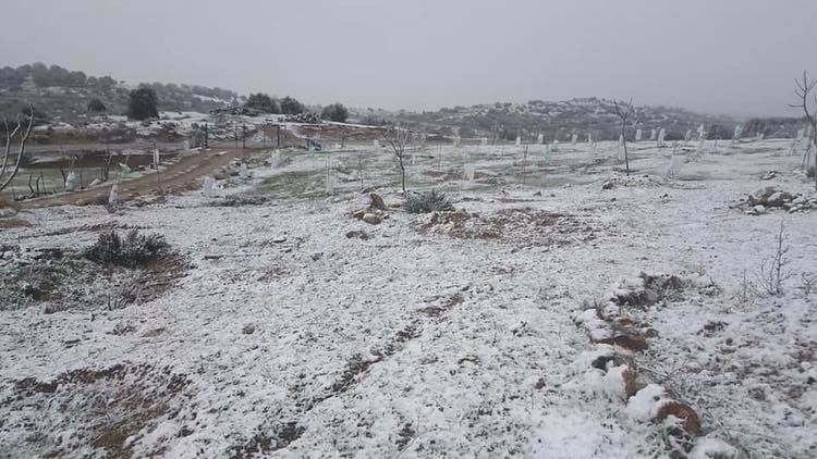 Koçarlı Çeşmeköy Köyü Resimleri 2