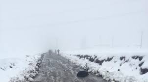 Çınar Ağaçsever Köyü Resimleri 2