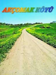 Çınar Akçomak Köyü Resimleri 3