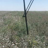 Çınar Aktepe Köyü Resimleri 3