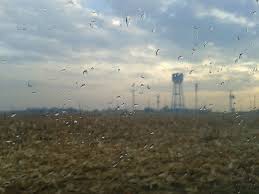 Çınar Aktepe Köyü Resimleri 6