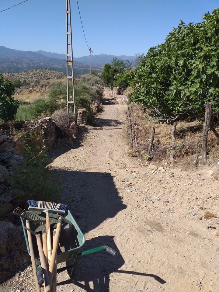 Koçarlı Karaağaç Köyü Resimleri 3