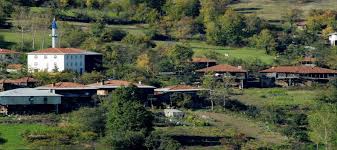 Çınar Alancık Köyü Resimleri 6