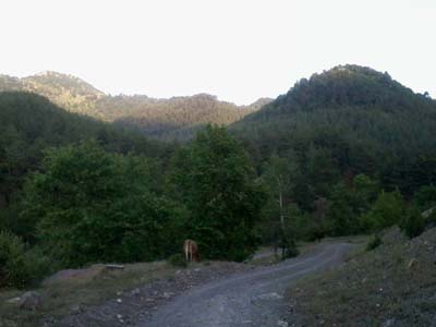 Adana Kozan Kabaktepe Köyü Resimleri 13