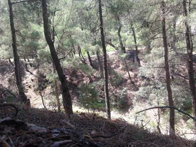 Adana Kozan Kabaktepe Köyü Resimleri 14